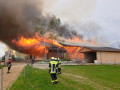 2019 04 24 BrandHaiming  1 