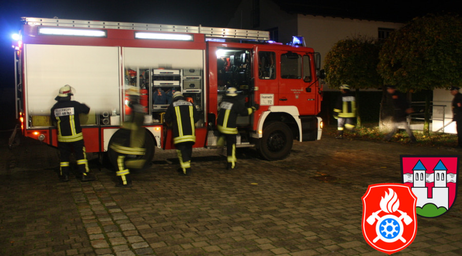 2015 10 14 5862 THL Leistungsabzeichen