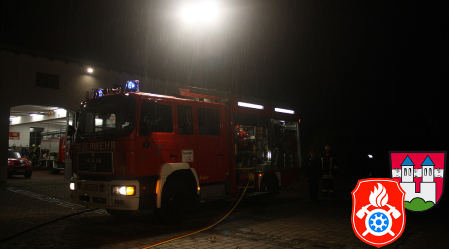2015 10 14 5889 THL Leistungsabzeichen