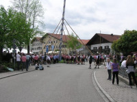Maibaumaufstellen