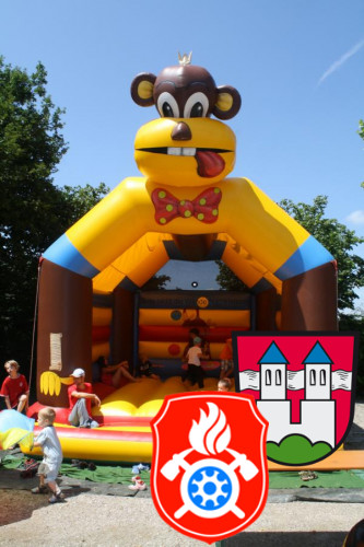 10 07 2011 3370 Sommerfest FFW Rott 2011