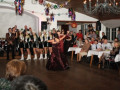 feuerwehrball 2011 3 20110225 1229861871